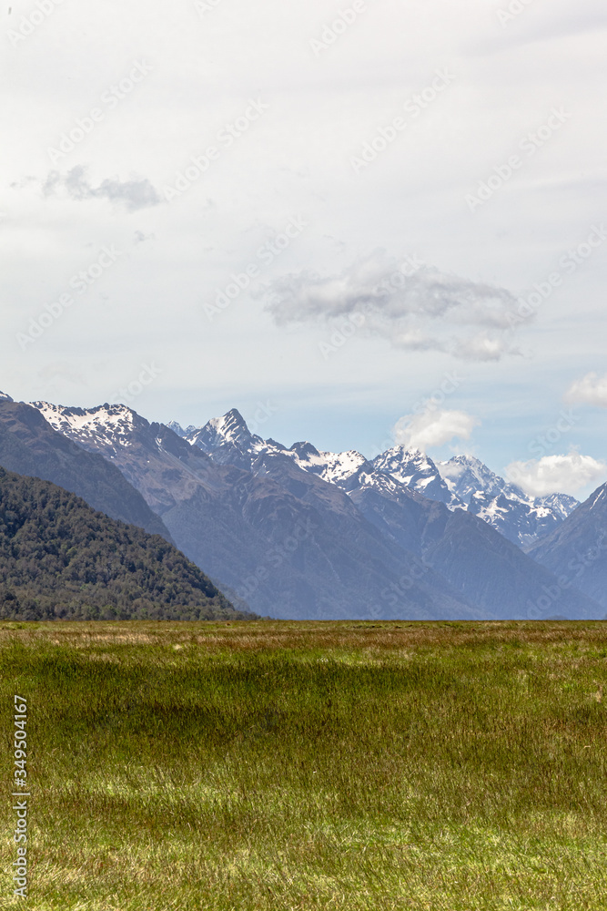 Fields and distant snowy mountains on the way to Milford Sound. Fiordland. New Zealand