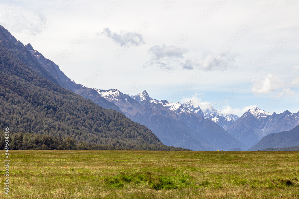 Field and distant snowy mountains. South Island landscapes on the way to Milford Sound. Fiordland. New Zealand