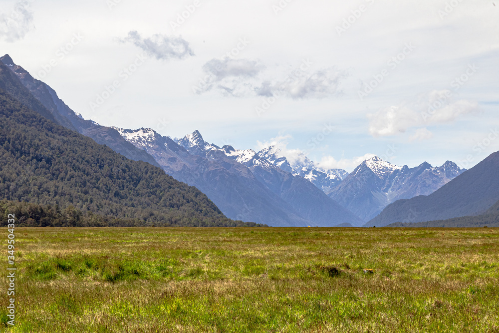 Field and distant snowy mountains. South Island landscapes on the way to Milford Sound. Fiordland National Park. New Zealand