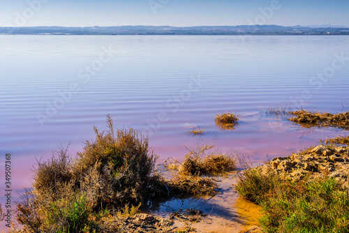 Fototapeta Naklejka Na Ścianę i Meble -  Pink salt lake near the town of Torrevieja. Alicante province. Spain