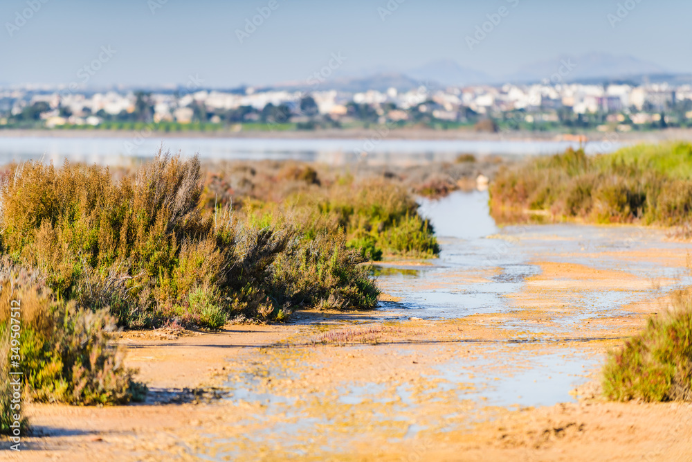 Pink salt lake near the town of Torrevieja. Alicante province. Spain