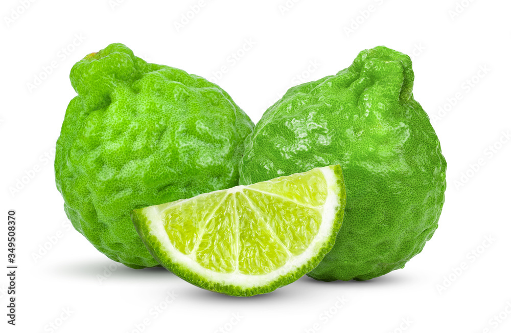bergamot or kaffir on white background bergamot or kaffir on white background