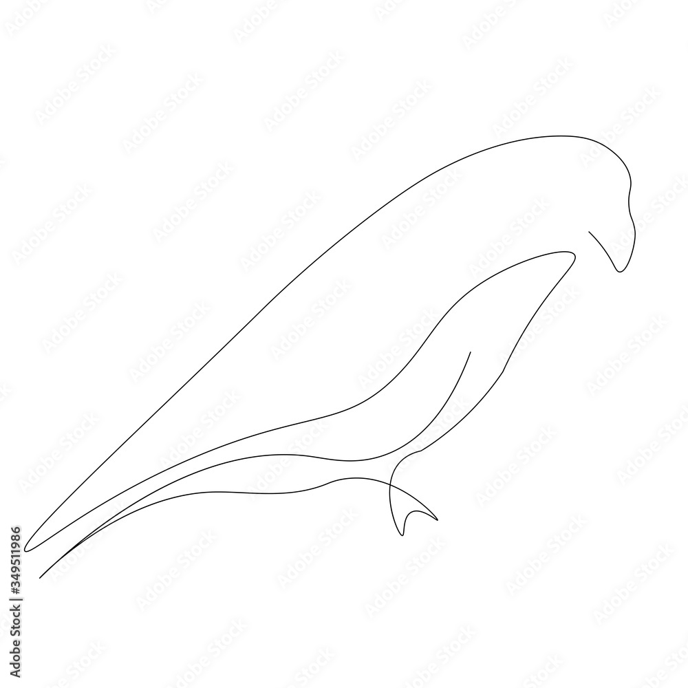 Bird on the white background. Vector illustration