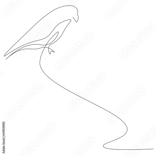 Bird one line drawing isolated on the white background. Vector illustration