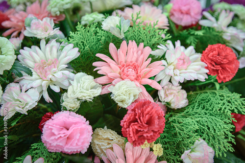pink and white flowers