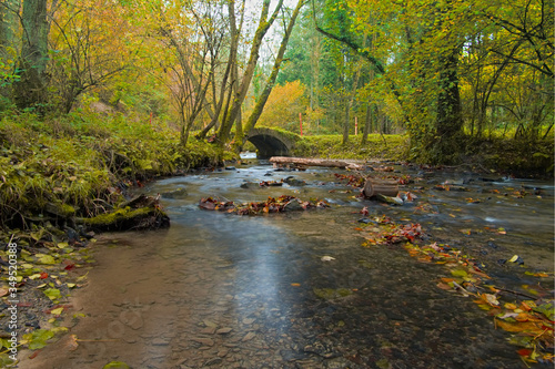 Mysterious, moss-covered bridge in the forest on the river photo