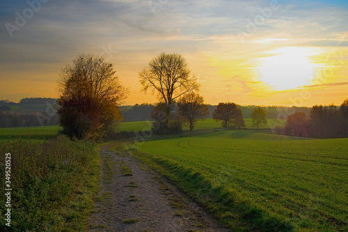 A dirt road lies between grassy fields during the autumn sunset.