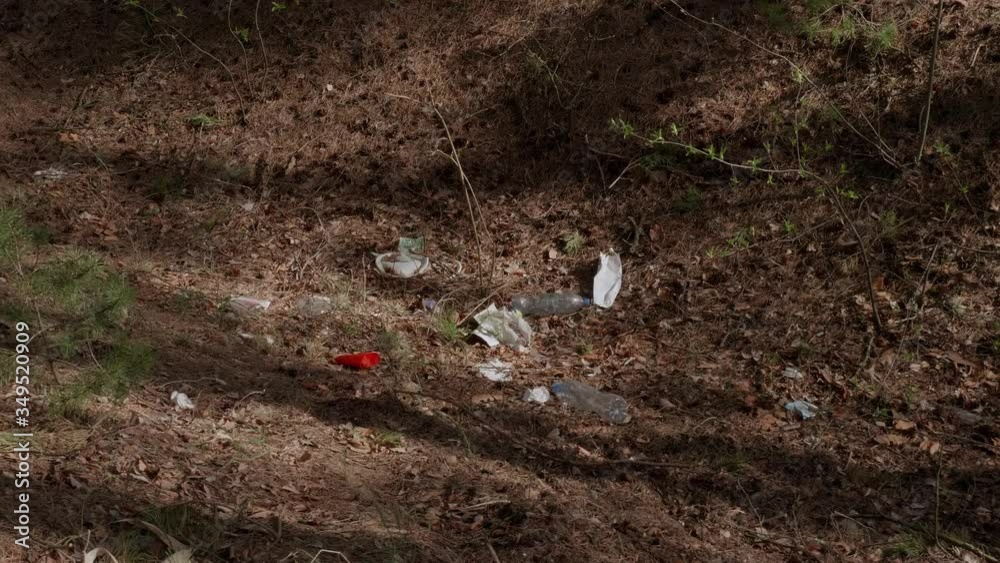 Garbage in the woods after picnic. Garbage in the woods after picnic.