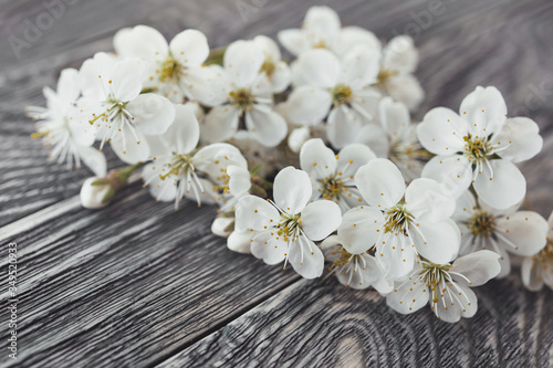 Cherry flowers on wooden background. Close up photo of ragile spring flowers on table.