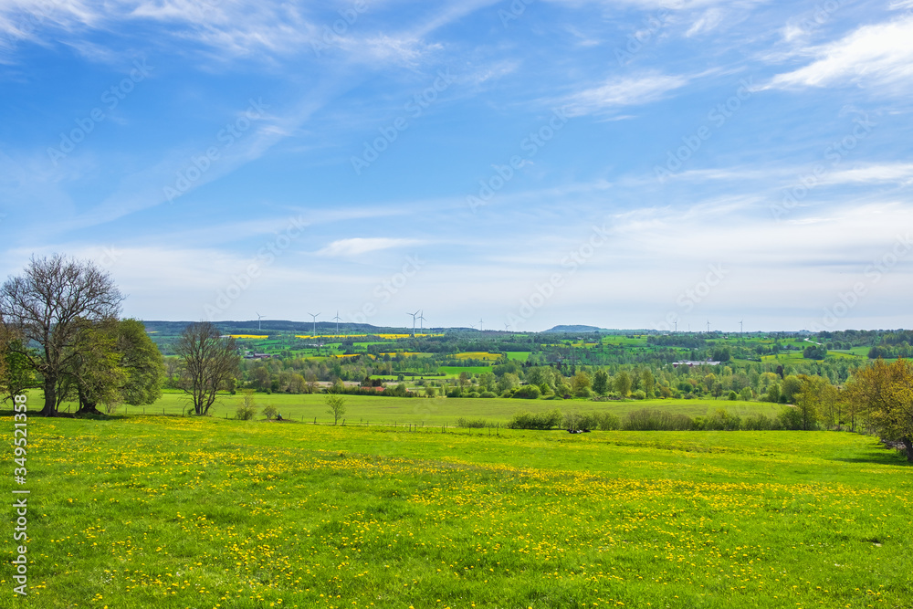 Beautiful landscape view at the countryside from a blooming meadow