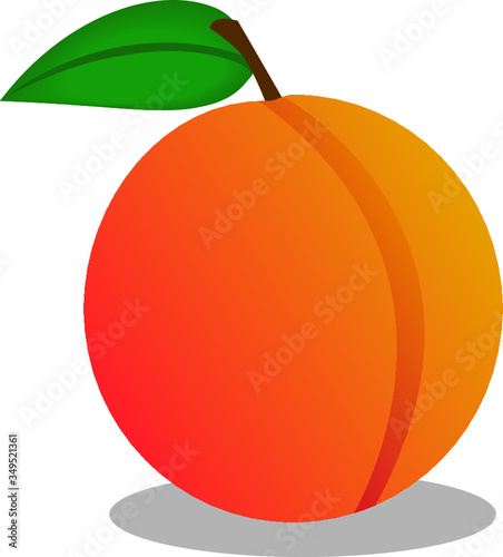 Peach or appricot fruit vector icon photo