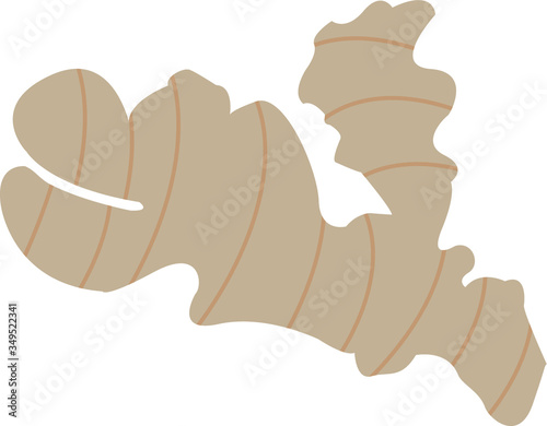 Ginger root super food vector icon