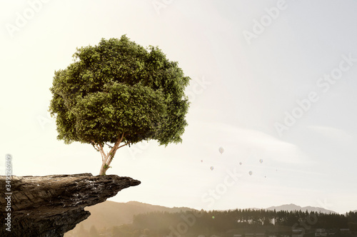 Fototapeta Naklejka Na Ścianę i Meble -  Image of tree and landscape