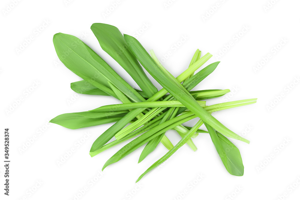 Ramson leaves isolated on white background with clipping path and full depth of field, Top view. Flat lay Ramson leaves isolated on white background with clipping path and full depth of field, Top view. Flat lay