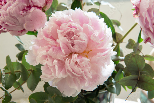 Fototapeta Naklejka Na Ścianę i Meble -  A Bouquet of season fresh peonies