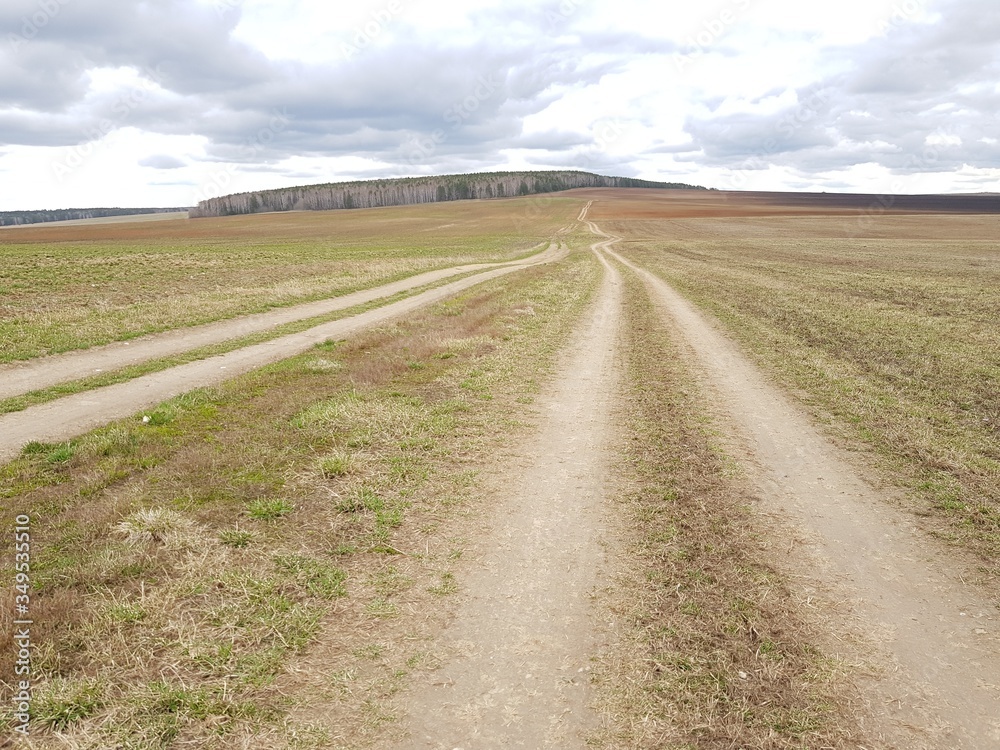 Country road in the field