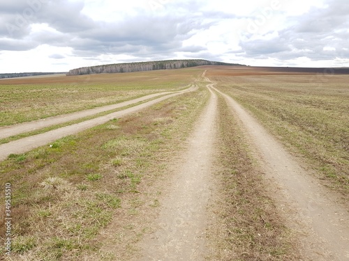 Country road in the field