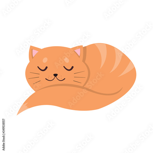 Fototapeta Naklejka Na Ścianę i Meble -  Red cat sleeping
