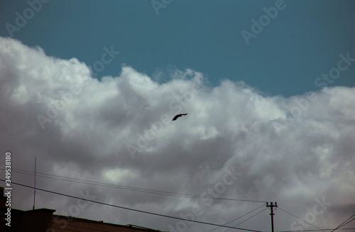 Fluffy clouds cover the summer blue sky