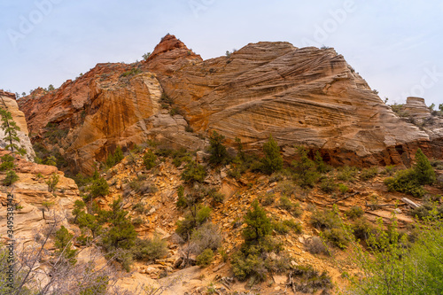 Zion National Park © vichie81