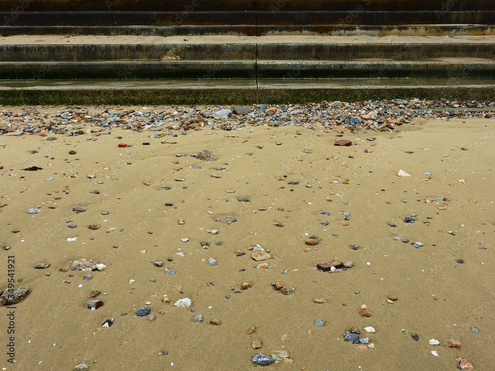 sand beach with shells and stone sand beach with shells and stone