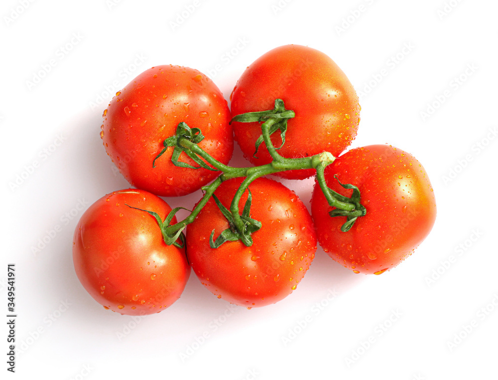 Branch of tomatoes isolated in white. Top view Branch of tomatoes isolated in white. Top view