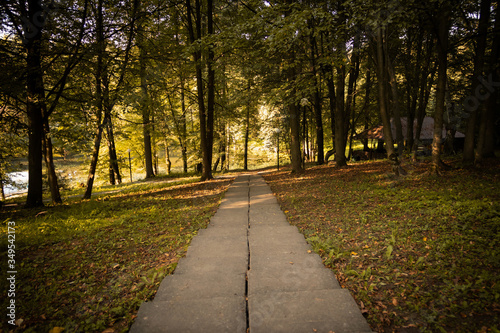 path in autumn park