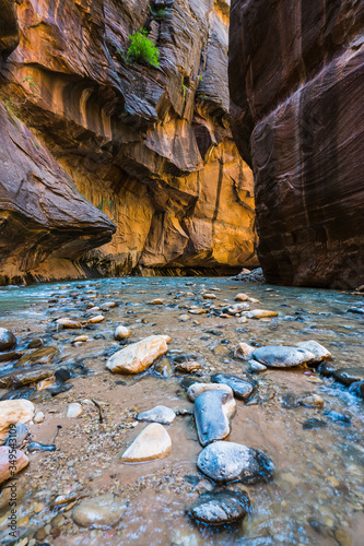 zion narrow  with  vergin river in Zion National park,Utah,usa.
 photo