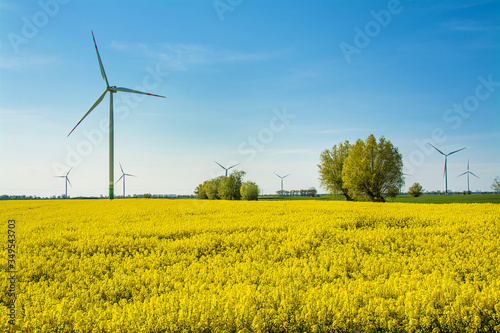 Green energy, wind farm and rapeseed field. Beautiful landscape in Poland. © VinyLove Foto