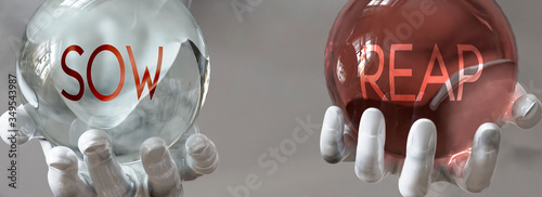 reap and sow in a balanced life - pictured as words reap,sow in hands to show that sow and reap should stay in balance, 3d illustration