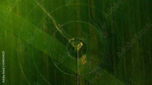 Agriculture aerial view with circular crop irrigation