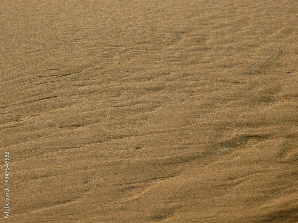 Fototapeta premium sand beach texture