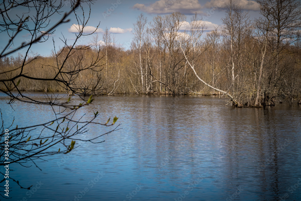Spring views of landscape parks and squares of Saint Petersburg Spring views of landscape parks and squares of Saint Petersburg