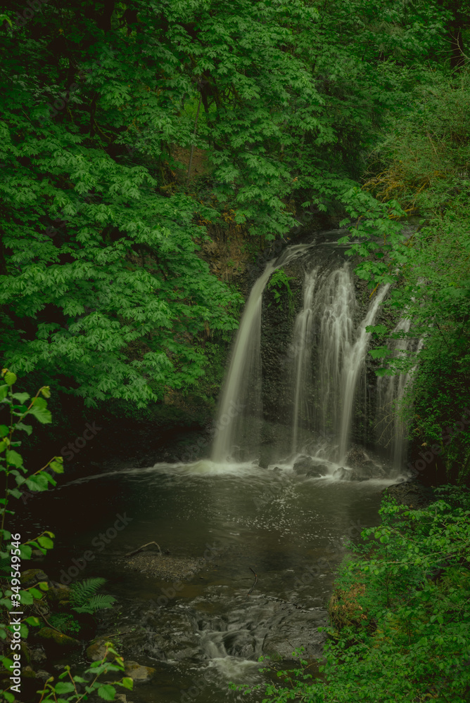 Fototapeta premium Hidden waterfall surrounded by lush foliage, Oregon, Pacific Northwest United States