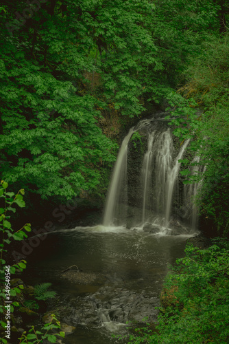 Hidden waterfall surrounded by lush foliage, Oregon, Pacific Northwest United States