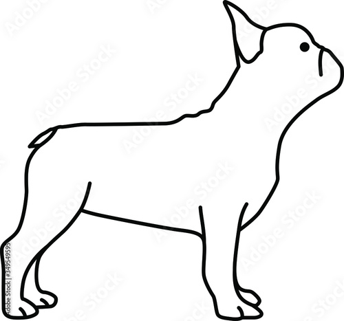 An icon illustration of a French Bulldog