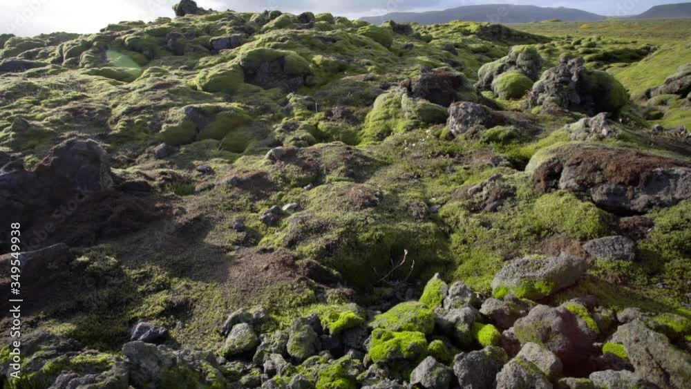 Green lava fields. Frozen magma, which is covered with moss and plants. Lava froze after a volcanic eruption Green lava fields. Frozen magma, which is covered with moss and plants. Lava froze after a volcanic eruption