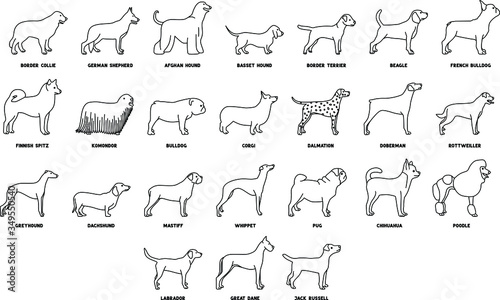 An icon illustration of Dogs