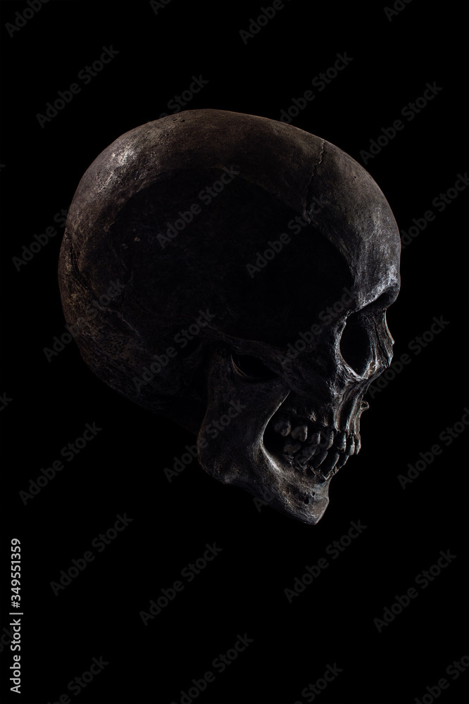 Skull Skull