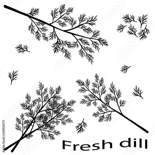 Black icon of fresh dill.  Vector illustration. Green vegetables.  Black silhouette dill close-up.