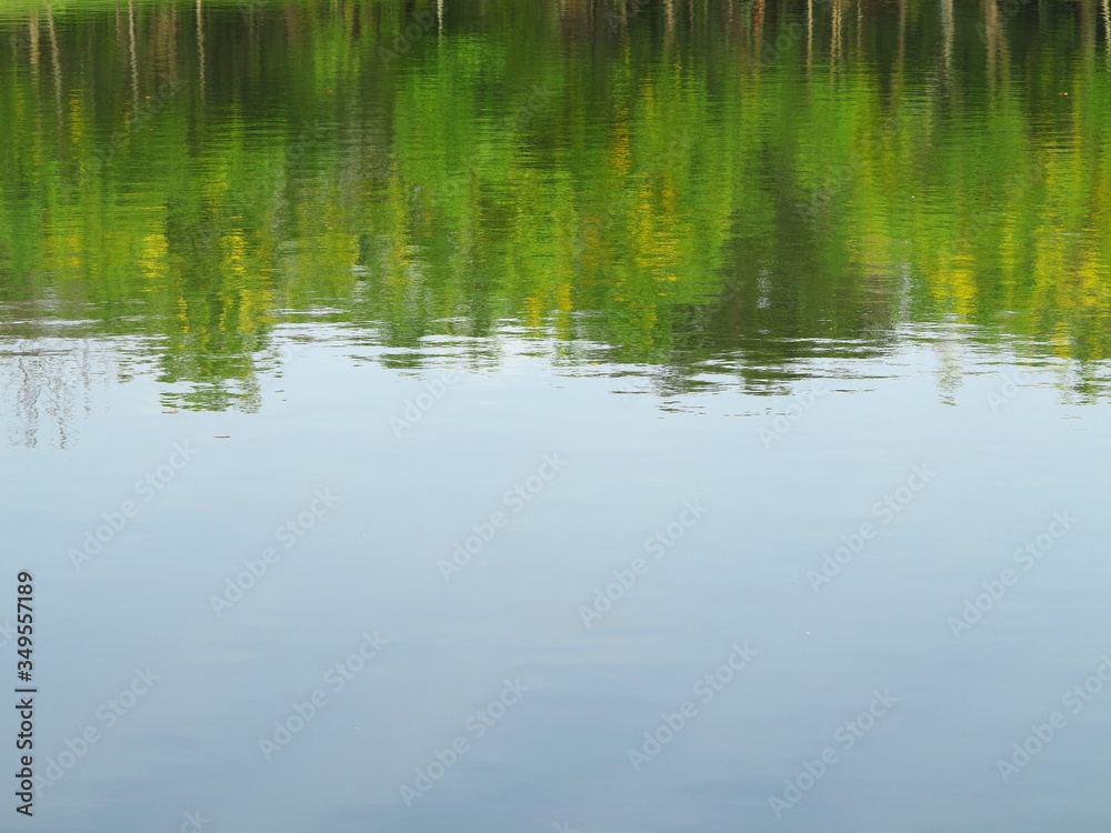 reflection in water, blur of tree and blue sky reflection in water, blur of tree and blue sky