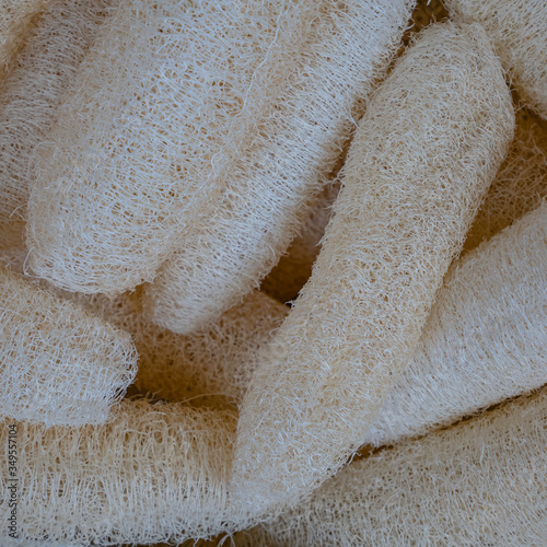 The close up of natural loofah Sponge for exfoliating bath spa.