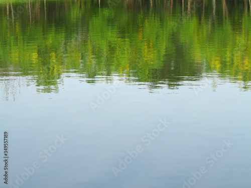 reflection in water, blur of tree and blue sky