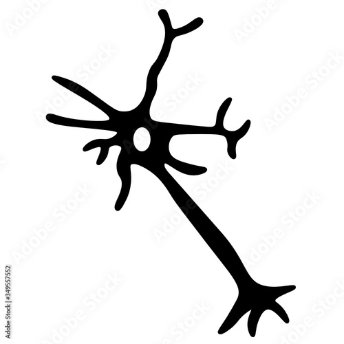 Neuron