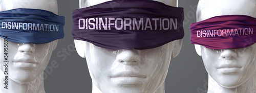 Canvas Print Disinformation can blind our views and limit perspective - pictured as word Disi