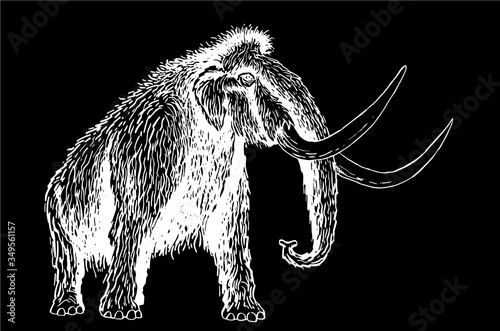 Graphical sketch of mammoth isolated on black background, vector engraved illustration