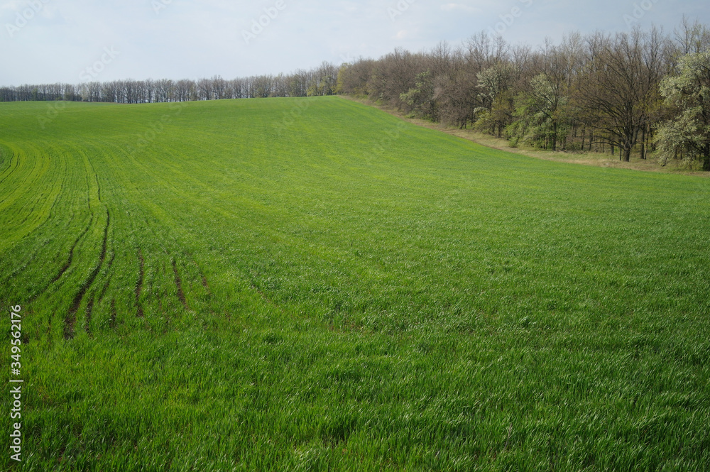 Spring coming to the land