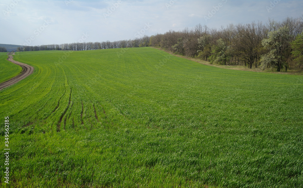 Spring coming to the land