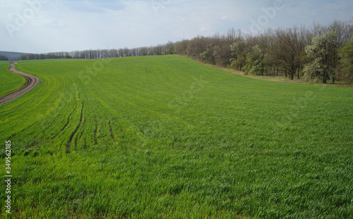 Obraz na płótnie Spring coming to the land w salonie