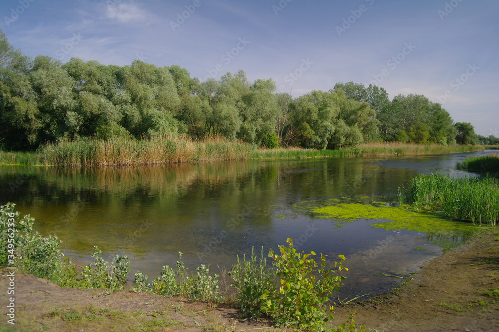 river, land with trees and blue sky